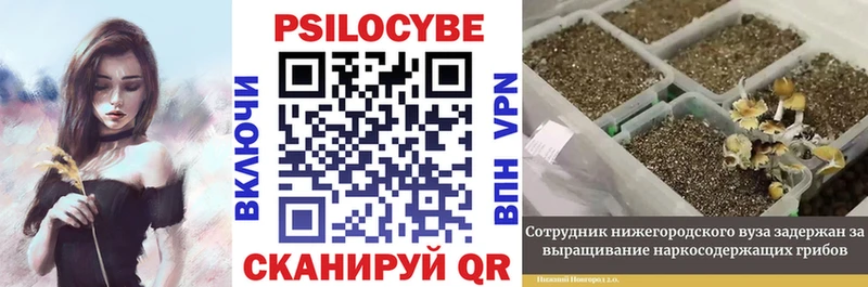мега онион  Карачаевск  Галлюциногенные грибы MAGIC MUSHROOMS  наркотики 
