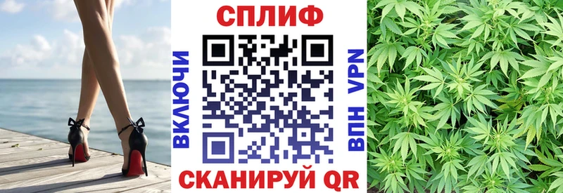 купить закладку Карачаевск Каннабис гибрид
